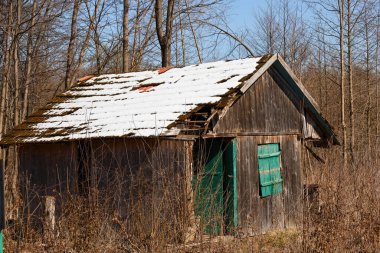 Ağaçların arasında yeşil kapıları olan eski bir ahşap kulübe. Kulübenin çatısı kısmen karla kaplı ve yosunlar bazı bölgelerde görülebiliyor..