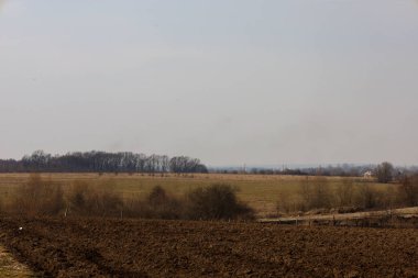 Ön planda, karanlık, sürülen toprak görülebilir, ardından kuru otlar ve çalılar gelir. Arka planda, açık alanla zıtlık yaratan bir orman var..