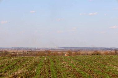 Ufuk çizgisine kadar uzanan yeşil sıralı geniş bir manzara. Tarla bir tepenin üzerinde yer alıyor ve uzaktaki ormanlar ve köyler ile bir vadi manzarası sunuyor. Gökyüzü birkaç beyaz bulutla mavidir..
