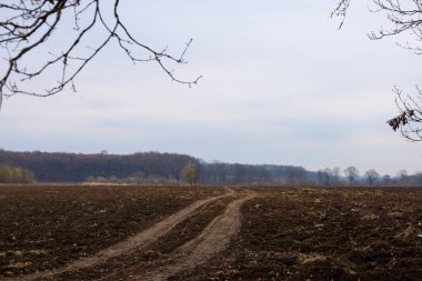 Tarlanın koyu kahverengi bir rengi ve pürüzlü bir dokusu var. Bu da yeni toprak ekimini gösteriyor. Arka planda ormana giden iki paralel iz var..