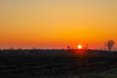 Fotoğraf karanlık bir tarlanın üzerinde resim gibi bir gün batımı yakalıyor. Batan güneş parlak turuncu bir ışık yayar ve bu ışık gökyüzünde giderek sarı renklere dönüşür..