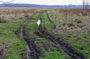 Fotoğraf, tarladan geçen toprak bir yolu olan kırsal bir araziyi gösteriyor. Yolun çamurla dolu tekerlek izleri var. Tarla çimen ve kuru bitkilerle kaplıdır. Arka planda, bir orman görünüyor..