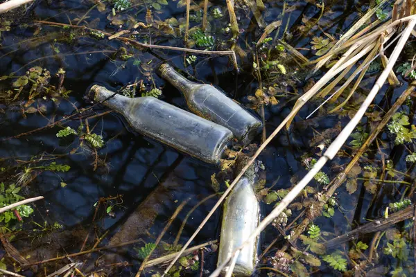 Fotoğraf bitkiler ve dallar arasında suyun içinde yatan üç cam şişeyi tasvir ediyor. Şişelerin çeşitli kirlilik ve hasarları var. Bazıları alüvyon ve toprakla kaplı..