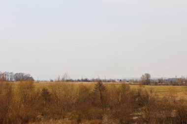 Fotoğraf, ön planda kuru çimenler ve ağaçlarla kaplı geniş bir arazi manzarasını tasvir ediyor. Çimenler kahverengidir ve kuru bir dokusu vardır, ve ağaçların çıplak dalları vardır, bu da baharın başlarını gösterir..