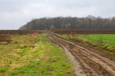 Ön planda çamurlu suyla dolu derin monoton bir toprak yol görülebilir. Yol iki tarla arasında uzanıyor: biri çoktan sürülmüş, koyu, ıslak toprak ve diğeri de yeşil çimlerle kaplı..