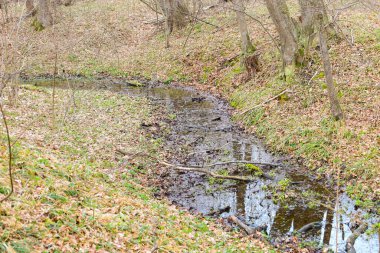 Küçük bir orman deresi düşen yapraklarla kaplı bir kanaldan yavaşça akar. Nehirdeki su karanlıktır ve ağaçların çıplak dallarını yansıtır ve açık gökyüzünü yansıtır..