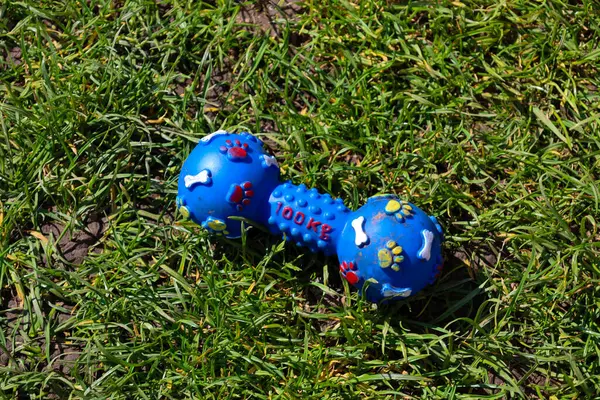 Dambıl şeklinde mavi bir lastik köpek oyuncağı yeşil çimlerin üzerinde yatar. Oyuncağın uçlarında tırtıklı bir köprüyle bağlanmış iki yuvarlak parçası var. Yuvarlak kısımda beyaz bir kemik ve kırmızı pençe izleri var..