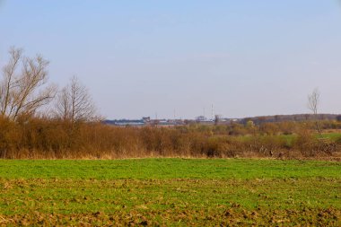 Açık mavi gökyüzünün altında Ukrayna 'da ilkbahar kırsal manzarası. Ön planda, ilk yeşil filizlenen kış ekinleri ile bir tarla sırayla sürülen kahverengi toprak parçaları ile yer değiştirir..
