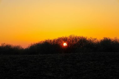 Parlak turuncu bir güneş, ufuktaki ağaçların ya da çalıların arkasında batar. Sıcak sarı ve turuncu gölgelerle gökyüzünü aydınlatır. Ön taraf karanlık bir tarla tarafından işgal edilmiş..
