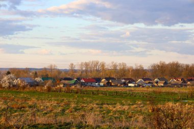 Şafakta Ukrayna 'da ilkbahar başlarında kırsal alan. Ön planda, ilk yeşilliğin filizlenmekte olduğu solmuş çimlerin olduğu bir alan yumuşak sabah ışığı tarafından aydınlatılır..