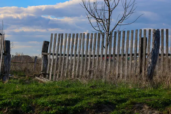 Dikey tahtalardan yapılmış eski ahşap bir çit, bulutlu mavi gökyüzünün arka planına karşı. Çit bazı yerlere eğilmiş ve aşınma izleri gösteriyor. Çitin önünde yeşil çimenler ve kuru bitkiler yetişiyor..