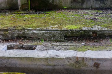 Stok fotoğrafı: terk edilmiş bir binada yer ve beton döküntüleri, yosun ve küçük çimlerle kaplı. Yıkım izleri ve nem izleri görülüyor..