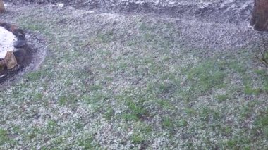 Beklenmedik yoğun kar yağışı Nisan ayında bir bahçede parlak yeşil bir çimenliği kaplıyor. Büyük kar taneleri genç çimenlerin üzerine düşer ve kış havası ile bahar yeşilliği arasında bir kontrastlık yaratır..