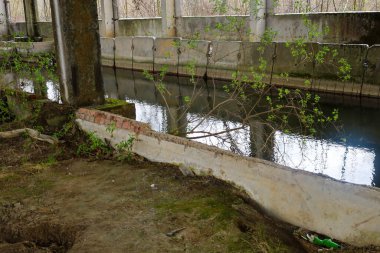 Suyun gökyüzünü ve etrafındaki ağaçları yansıttığı sütunlarla dolu bir beton yapı. Yıkım ve terk edilmiş bir binanın doğası tarafından devralınması..