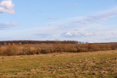 Ön planda, solmuş çimenlerle ve ilk yeşil filizlerle birlikte bir alan görünür. Daha ileride, alçak çalılar ve yapraksız ağaçlar uzanıyor..