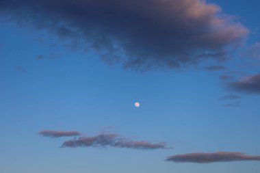 Ukrayna 'da sakin bir akşam gökyüzü. Açık mavi bir zemin üzerinde, parlak bir ilk çeyrek ay görünür, birkaç dağınık koyu gri bulutlar ile çevrili zaten geçmiş gün batımından gelen pembe renkleri ile.