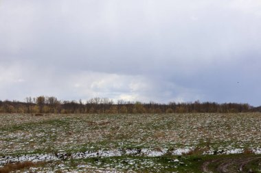 Baharın ilk zamanlarında, bazı yerlerde yeşil otların ortaya çıktığı karla kaplı bir arazi. Ufuk boyunca uzanan çıplak ağaç dalları ile karanlık bir orman şeridi kasvetli gri gökyüzünün altında.