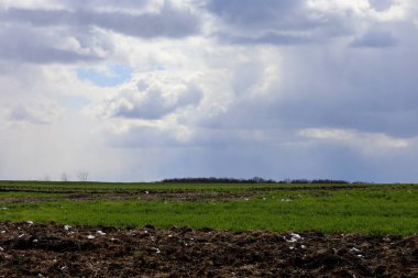 Ön planda yeni sürülmüş karanlık bir araziyle zıt bir manzara, onu yeşil çimen tarlası izliyor..