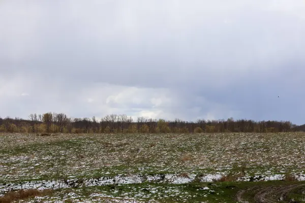 Baharın ilk zamanlarında, bazı yerlerde yeşil otların ortaya çıktığı karla kaplı bir arazi. Ufuk boyunca uzanan çıplak ağaç dalları ile karanlık bir orman şeridi kasvetli gri gökyüzünün altında.
