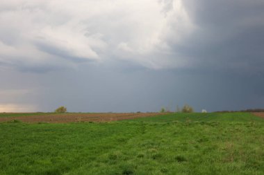 Önünde yeşil bir alan olan manzara ve bulutlu, karanlık, tehditkar bir gökyüzü. Ufukta küçük ağaçlar görünüyor. Parlak yeşil ve kasvetli gökyüzü arasındaki zıtlık dramatik bir atmosfer yaratır..