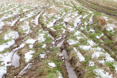 Bir traktör veya diğer ağır makinelerin lastik izleriyle kaplı karla kaplı bir alan. Yeşil çimenler, kahverengi çamur ve eriyen beyaz kar toprağı sırayla kaplıyor..