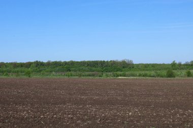 Fotoğraf koyu kahverengi renkte yeni sürülmüş bir tarlanın geniş bir manzarasını yakalar. Toprak nemli ve yeni dönüştürülmüş görünüyor, sabandan görünen izler var..
