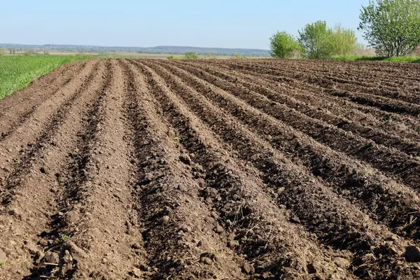 Yeşil bir şeride ve açık bir gökyüzünün altındaki ağaçlara kadar uzanan kahverengi bir tarla. Tarıma elverişli topraklar ekilmeyi bekliyor. Huzurlu bir köy manzarası.