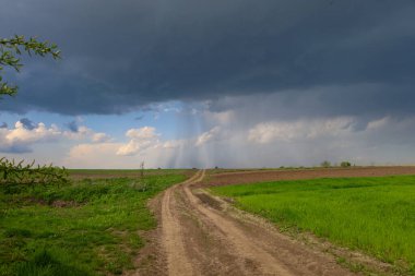 İzli toprak yol yeşil tarlaların arasında kaybolur ve zıt bir gökyüzünün altında kahverengi tarlalar. Koyu bulutlar komşu parlak bölgelerde yağmurun çizgilerinden geçmesine izin verir..