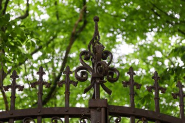 Nilüfer ve girdaplar şeklinde dekoratif elementlere sahip koyu kahverengi işlemeli demir bir çit bulanık yeşil bitki örtüsüne karşı görülür..