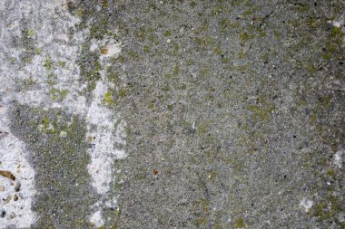 Kaba gri beton yüzey küçük yeşil yosun ve ışık çizgileriyle kaplıdır. Bu da eski taşın dengesiz dokusunu gösterir..