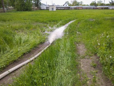 Basınçlı su, bir hortumdan yeşil bir alana dökülür. Sulama, sulama, bitki bakımı ve tarım süreci.