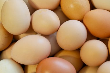 Yakın plan çekimde, kahverengi ve beyaz tonlarında sıkıca sarılmış bir grup tavuk yumurtası görülüyor. Kabukların pürüzsüz dokusu ve renk çeşitliliği görülebilir..