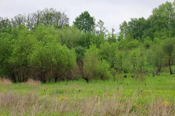 Görüntü, yeşil ağaçlar ve çimlerle kaplı doğal bir manzarayı gösteriyor. Arka planda altın kubbeli bir kilise görünüyor..