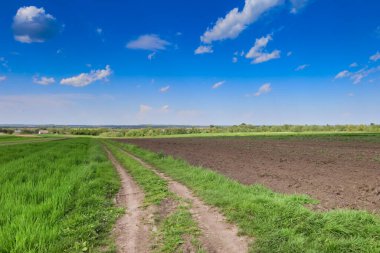Görüntü, yeşil bir tarla ile küçük bulutlu açık mavi gökyüzünün altında ekili kahverengi arazi arasında uzanan toprak yolu olan kırsal bir araziyi gösteriyor..