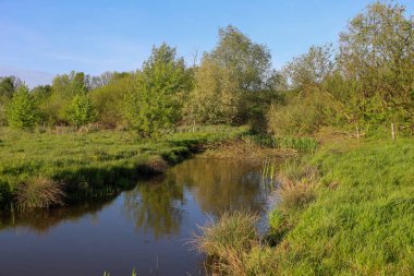 Huzurlu bir dere boyunca yeşil bir çayır uzanır. Bankalar yemyeşil çimlerle kaplıdır ve su mavi gökyüzünü yansıtır. Kırsal kesimin doğal güzelliği ve sükuneti.