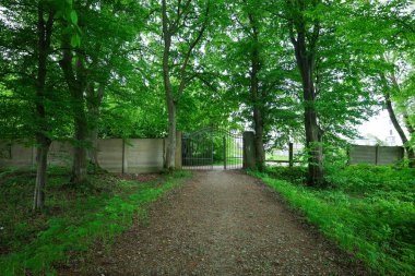Çakıl yolu, yemyeşil ağaçlar ve çalılarla çevrili metal bir kapıya çıkar. Işık yaprakların arasından süzülerek yol üzerindeki ışık ve gölge arasında bir kontrastlık yaratır..