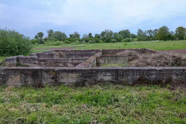 Eski bir yapının beton kalıntıları yeşil bir manzaranın ortasında çimlerle kaplıdır. Dokulu yüzeylerinde zaman ve çürüme izleri var..