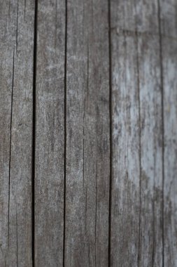 Görüntü, yüzeyinde belirgin çatlaklar ve düzensizlikler olan yaşlanmış ahşabın dikey dokusunu gösteriyor. Açık gri renkte koyu renkli damarlar doğallık ve zaman hissi yaratır..