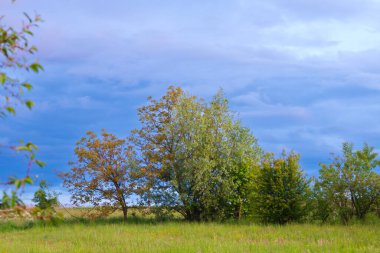 Yeşil ağaçlar mavi gökyüzüne doğru uzanır ve resim gibi bir manzara yaratır. Ön plandaki çimenler tazelik ve boşluk hissi katıyor..