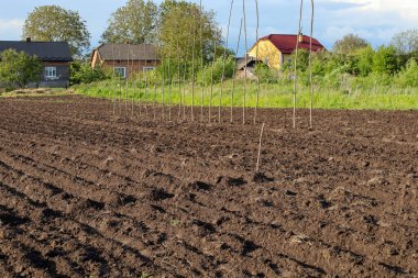 Tarlada yeni sürülmüş toprak ekime hazır. Sıralar ve sıralar bile gelecekteki bitkileri gösteriyor. Arka planda, kırsal evler ve yeşil ağaç şeridi bir tarım manzarası oluşturur.
