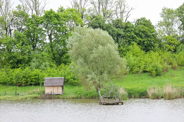 Nehir kıyısında yeşil bitki örtüsüyle çevrili ahşap bir yapısı olan sakin bir manzara uyum ve doğal güzellik hissi yaratır. Bu kompozisyon, sakin ve doğal bir arkaplan gerektiren tasarım ve sanatsal projeler için idealdir..