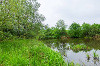 Canlı yeşil çimenler ve ağaçlar bulutları yansıtan sakin bir durgun suları çevrelemektedir. Su yüzeyi hafifçe parıldıyor, resim gibi vahşi bir manzara yaratıyor..