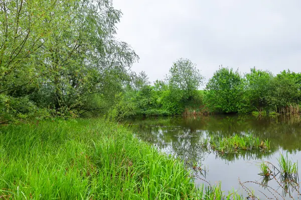 Canlı yeşil çimenler ve ağaçlar bulutları yansıtan sakin bir durgun suları çevrelemektedir. Su yüzeyi hafifçe parıldıyor, resim gibi vahşi bir manzara yaratıyor..