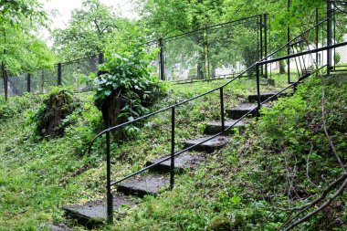 Çimenlerle kaplanmış taş basamaklar, yeşillikler arasında yükseliyor. Siyah metal korkuluklar basamakları çerçeveler ve yemyeşil bitki örtüsü onları sarar. Sahne doğa ve şehir mimarisinin bir kombinasyonunu yansıtıyor..