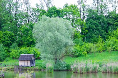 Sakin sularda, yemyeşil sularla çevrili tenha bir balıkçı kulübesi. Büyük bir ağaç manzaraya hükmediyor, barışçıl ve doğal bir atmosfer yaratıyor. Rahatlamak ve düşünmek için ideal bir yer..