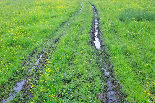Tekerleklerden gelen bir iz, bahar çiçeklerinin renk kattığı nemli, parlak yeşil bir tarlayı kesiyor. Suyla dolu derin röleler yakın zamanda yağan yağmurları gösteriyor. Resimli ama vahşi bir doğal manzara yaratıyor..