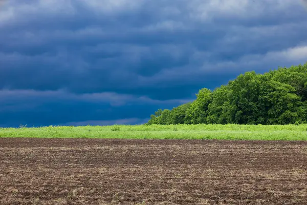 Kırık bir arazi, bir orman ve bir tarlanın üzerinde karanlık ve fırtınalı bir gökyüzünü gösteriyor. Ön plan, genç büyüyen yeşil bir şeritle ve ufuktaki ormanla tezat oluşturarak, çarpıcı bir doğal görüntü yaratarak, sabanla sürülmüş toprağı ortaya çıkarıyor..