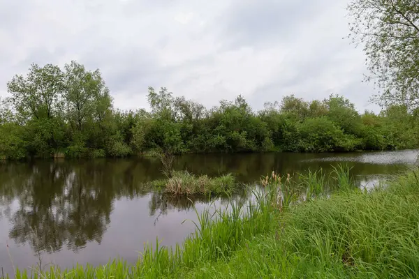 Çekim, bulutlu bir gökyüzünün altında yoğun yeşil bitki örtüsüyle çevrili sakin bir gölet veya nehri tasvir ediyor. Ön planda, uzun otlar görülebilir ve suda bitkilerle dolu küçük bir ada var..