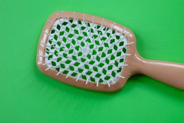 Beyaz tüylü bej bir saç fırçası canlı yeşil bir arka plana yerleştirilir ve dinamik bir kontrast yaratır. Bu madde, basitlik ve işlevselliği vurgulayan, saç bakımı için modern bir aksesuardır..