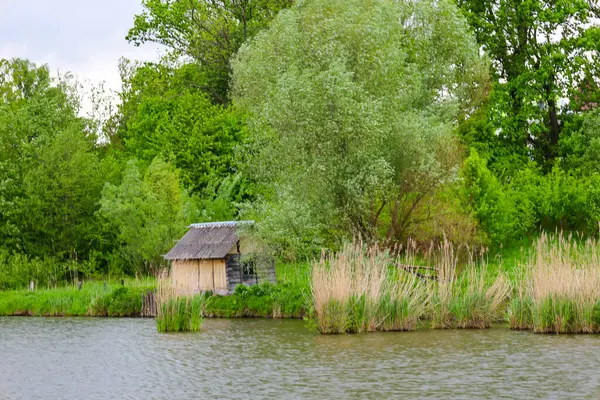 Yoğun yeşil ağaçlar ve kamışlarla çevrili, bir su kütlesinin kıyısında ahşap bir evi olan kırsal bir arazi. Gri gökyüzü sakin ve kasvetli bir atmosfer yaratır. Kırsal yaşamı ve doğayla bütünlüğü yansıtır..